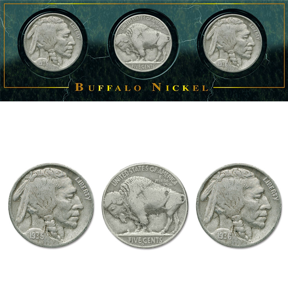 Conjunto de moedas de coleção da América - Buffalo Nickel